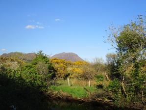 Cloverfox Connemara | Connemara | Photo Gallery - 12