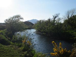 Cloverfox Connemara | Connemara | Photo Gallery - 15