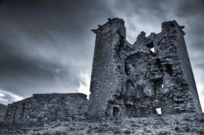 Cloverfox Connemara | Connemara | Photo Gallery - 16