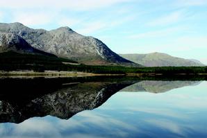 Cloverfox Connemara | Connemara | Photo Gallery - 19