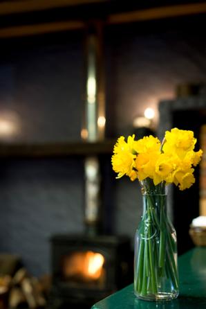Cloverfox Connemara | Connemara | Photo Gallery - 82