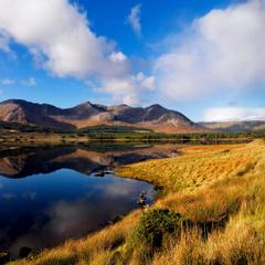 Cloverfox Connemara | Connemara | 3 reasons to stay with us - 1